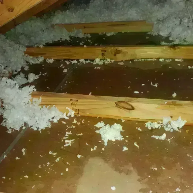 Attic Water Damage in Princeton, WI