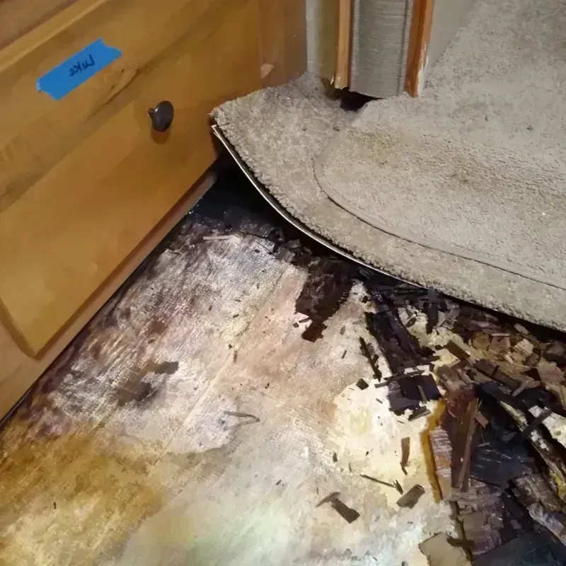 Wood Floor Water Damage in Princeton, WI